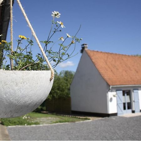 A L'Ombre Du Prunier Bed & Breakfast Licques Eksteriør bilde